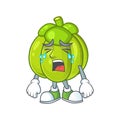 Crying green pumpkin ripe on a white background