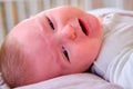 Crying Infant baby boy at the age of four months, close-up portrait