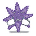 Crying purple starfish in the character shape