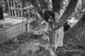 A crying statue of a girl is standing in a cemetery in a grey forest