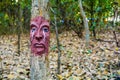 Crying tree face nature deforestation