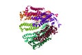 Cryo-EM structure of human pannexin 1. Rendering with differently colored protein chains. 3d illustration