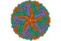 The cryo-EM structure of Zika Virus Royalty Free Stock Photo