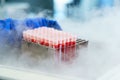 Storage of biomaterial in a cryobank Royalty Free Stock Photo