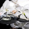 Cryogenic spa concept of delicate white hibiscus, zen stones wit Royalty Free Stock Photo