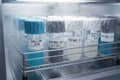 Cryogenic storage of cultivated beef MSC cell lines within a biobank freezer, ensuring batch traceability and quality control for Royalty Free Stock Photo