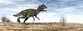 Cryolophosaurus dinosaur in the desert - 3D render Royalty Free Stock Photo