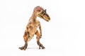 Cryolophosaurus , Dinosaur on white background