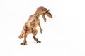 Cryolophosaurus  , Dinosaur on white background Royalty Free Stock Photo