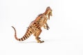 Cryolophosaurus , Dinosaur on white background