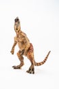 Cryolophosaurus , Dinosaur on white background