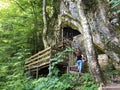 The Crypt of count Josip Jankovic in a Park forest Jankovac or Grobnica Josipa pl. Jankovica u Park sumi Jankovac