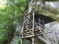 The Crypt of count Josip Jankovic in a Park forest Jankovac or Grobnica Josipa pl. Jankovica u Park sumi Jankovac