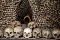 Crypt in which a lot of human bones, skulls Royalty Free Stock Photo