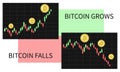 Crypto currency charts. Bitcoin grows and falls. Cryptocurrency BTC graph