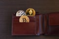 Crypto currency coin in leather wallet on wide wood wooden background bitcoin ethereum litecoin. Royalty Free Stock Photo