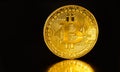 Crypto currency Golden Bitcoins isolated on black background . Photo virtual money.Blockchain technology, bitcoin mining concept