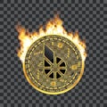 Crypto currency bitshares golden symbol on fire