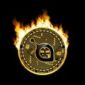 Crypto currency siacoin golden symbol on fire