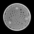 Crypto currency iota silver symbol