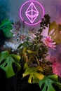 Crypto jungle ntf cyber concept. Jungle arrangement made of fresh natural lily flowers, monstera leaves, cyclamates. Ethereum logo