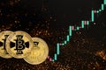 Cryptocurrency bitcoin against the background of the price chart. Royalty Free Stock Photo