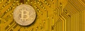 Cryptocurrency bitcoin laying on computer network Royalty Free Stock Photo