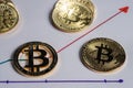 Bitcoin peer-to-peer payment system that uses the same unit to account for transactions