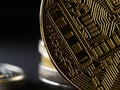 Cryptocurrency business concept. Close up of gold altcoin in hand. World cryptocurrency business. Modern blockchain technology. In