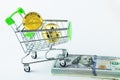 Cryptocurrency Dogecoin in close-up on a white background, growth concept, coins in a shopping cart on a bundle of dollars