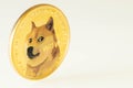 Cryptocurrency Dogecoin, Coin on a light background with a dog, Virtual money, Place for an inscription