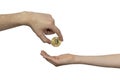 Cryptocurrency Inheritance Concept. The hand of an adult transfers gold bitcoin to the childÃ¢â¬â¢s hand. Inheritance, translation