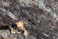 Cryptocurrency mining bitcoin in a rock background