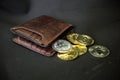 Cryptocurrency wallet, saving and investment concept. Wallet with different crypto coins like bitcoin and ethereum on black Royalty Free Stock Photo