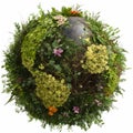 A crystal ball covered with flora and fauna in the shape of continents resembling planet Earth