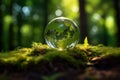 Crystal ball in forest with trees and mossy ground