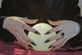 Crystal ball and fortune teller hands. Divination concept. The spiritual seance. Future reading Royalty Free Stock Photo