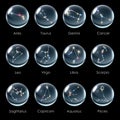 Crystal ball 12 Horoscopes grey