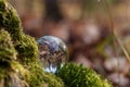 A crystal ball lies on a moss in the forest. Selective soft focus. Reflection of the forest. Environment concept Royalty Free Stock Photo