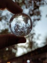 Crystal ball showing the nature