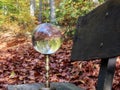 Crystal Ball In Autumn Forest