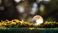 Crystal ball transparent in sunset on blurred abstract tropical forest scene