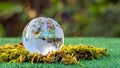 Crystal ball transparent in sunset on blurred abstract tropical forest scene