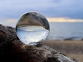 Crystal ball on tree Royalty Free Stock Photo