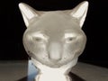 Eyes of the crystal cat Royalty Free Stock Photo