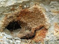 Crystal cave along the Horton River, Northwest Territories, Canada