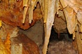 The crystal caves of Bermuda. Incredible formations of white stalactites covered with crystallized soda straws.