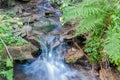 Crystal clean little creek , small waterfall scenic view Royalty Free Stock Photo