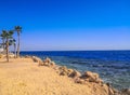 Crystal clear azure water with white beach and palms - paradise coastline coastline of Hurghada, Red Sea, Egypt Royalty Free Stock Photo