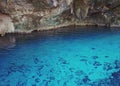 Cenote Royalty Free Stock Photo